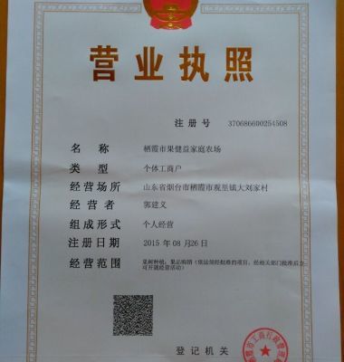 m9t337矮化自根砧蘋果苗優(yōu)點(diǎn)圖片