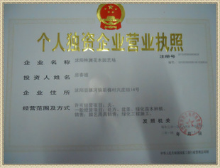 沭陽(yáng)林洲花木園藝場(chǎng)